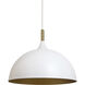 Lohn 1 Light Matte White Pendant Ceiling Light